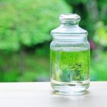 メダカの稚魚の餌やりで気を付けるべき事