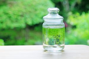 メダカの稚魚の餌やりで気を付けるべき事