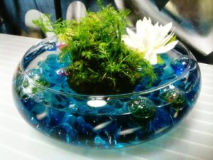 メダカにとって水温はとても大事な訳