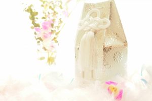 ペットロスの症状と5つの克服方法