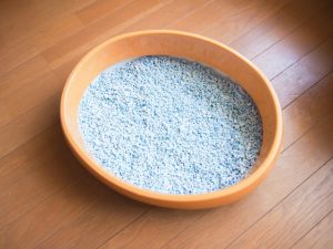 猫の下痢の原因と対処法！元気があれば大丈夫？