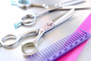 猫のトリミングの必要性と方法について