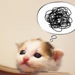 猫の寄生虫の駆除・種類・感染経路について!人にうつる可能性は?