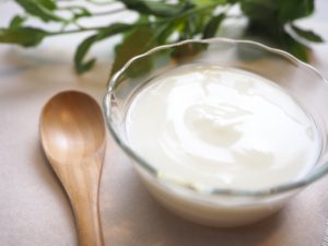 猫にヨーグルトを与えるメリットとデメリット