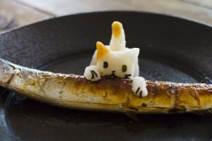 猫は魚が好き？食べてはいけない魚と注意点！