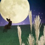 うさぎは夜行性?うるさい時の対処法