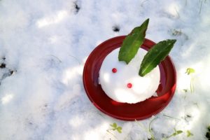 うさぎの目やにの原因は病気？飼い主ができる対処法と予防とは